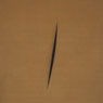 Concetto spaziale, Attese (Spatial Concept: Expectations) (1960)