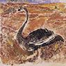 Moor Swan (1933)