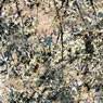 Jackson Pollock: Number 1 (1948)