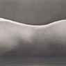 Edward Weston: [Nude] (1925)