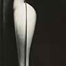 Edward Weston: Bedpan (1930)