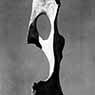 Willard Van Dyke: Bone and Sky (c. 1932)