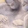 Concentration of Hands II (1948)