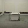 In and Out of Love (White Paintings and Live Butterflies) (1991)