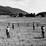 Missoula Ranch Locators: Vision Encompassed (1972)