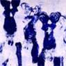Yves Klein: Anthropométrie sans titre (1961)