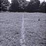 Line Made by Walking (1967)