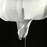 Calla Lilly (1988)