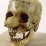 Clown Skull (1990)