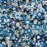 Blue Flowers & Skulls (2012)