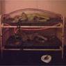 Edward Kienholz: The State Hospital (1964-1966)