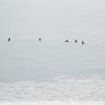 Surfers (2003)