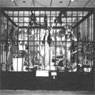 Coco Fusco and Guillermo Gomez-Pena: Two Undiscovered Amerindians Visit Buenos Aires (1992)