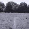 Richard Long: A Line Made by Walking (1967)