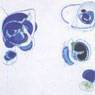 Sam Francis: Blue Balls VII (1962)