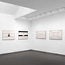 Fred Wilson: Flags (2009)