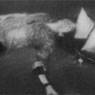 Gerhard Richter: Erschossener 1 (Man Shot Down 1) (1988)