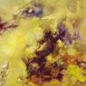 Tempête en Jaune (Tempest in Yellow) (1956)