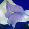 Merrillium Trovatum (1997)