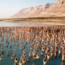 Dead Sea 8 (2011)