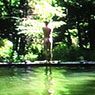 Bill Viola: The Reflecting Pool (1977-79)