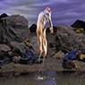 Going Forth By Day (2002)