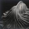 Cabbage Leaf (1931)