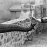 Hand Feeding Elephant Trunk, Zoo (1963)