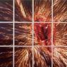 Mat Collishaw: Bullet Hole (1988)