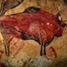 Cave Art Art & Analysis