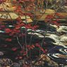 Group of Seven