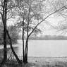 Transcendentalism