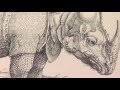 The Dürer Rhinoceros: Masterpieces of the British Museum