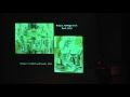 Picasso and Braque Symposium: Vision and Touch in Early Cubism