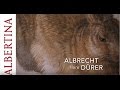 Albrecht Dürer: The Hare, 1502