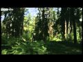 Ilya Repin - The Art of Russia - Roads to Revolution