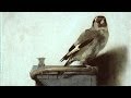 How a Dutch Master Made 'The Goldfinch' Come Alive