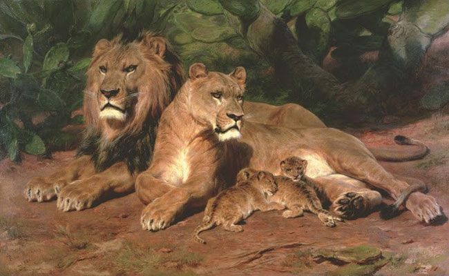 The Lion at Home (1881)