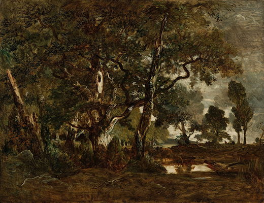 Théodore Rousseau: Forest of Fontainebleau, Cluster of Tall Trees Overlooking the Plain of Clair-Bois at the Edge of Bas-Bréau (c. 1849-55)