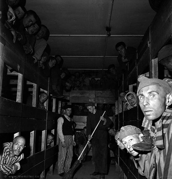Liberated Prisoners in Their Bunks (1945)