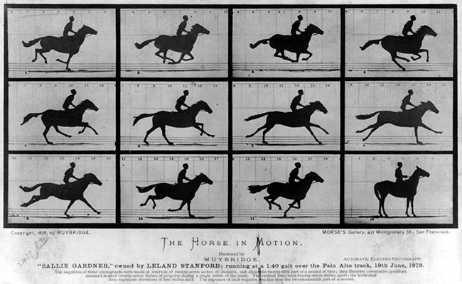 Sallie Gardner at a Gallop (1878)