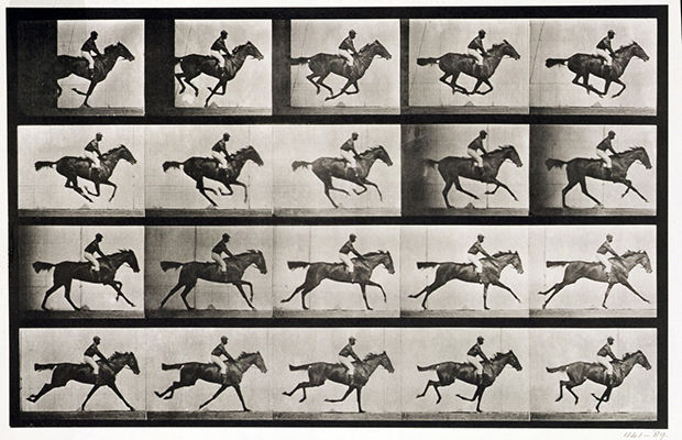 Jockey on a Galloping Horse from Animal Locomotion (1887)