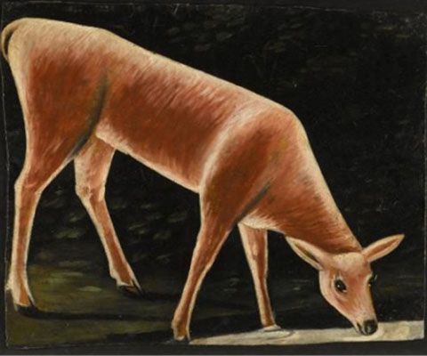 Roe Deer Drinking From A Stream (Date Unknown)