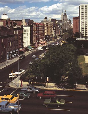 Alan Sonfist: Time Landscape (1965-present)