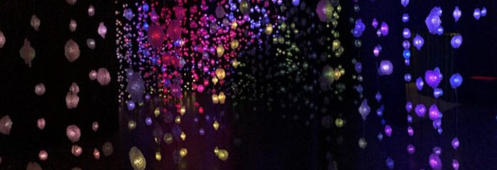 Pixel Forest (2019)