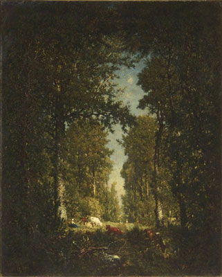 شارع من الأشجار ، غابة جزيرة آدم (1846-49)