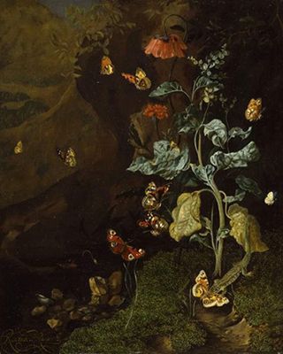 Insects and Lizard in a Wood (1684)
